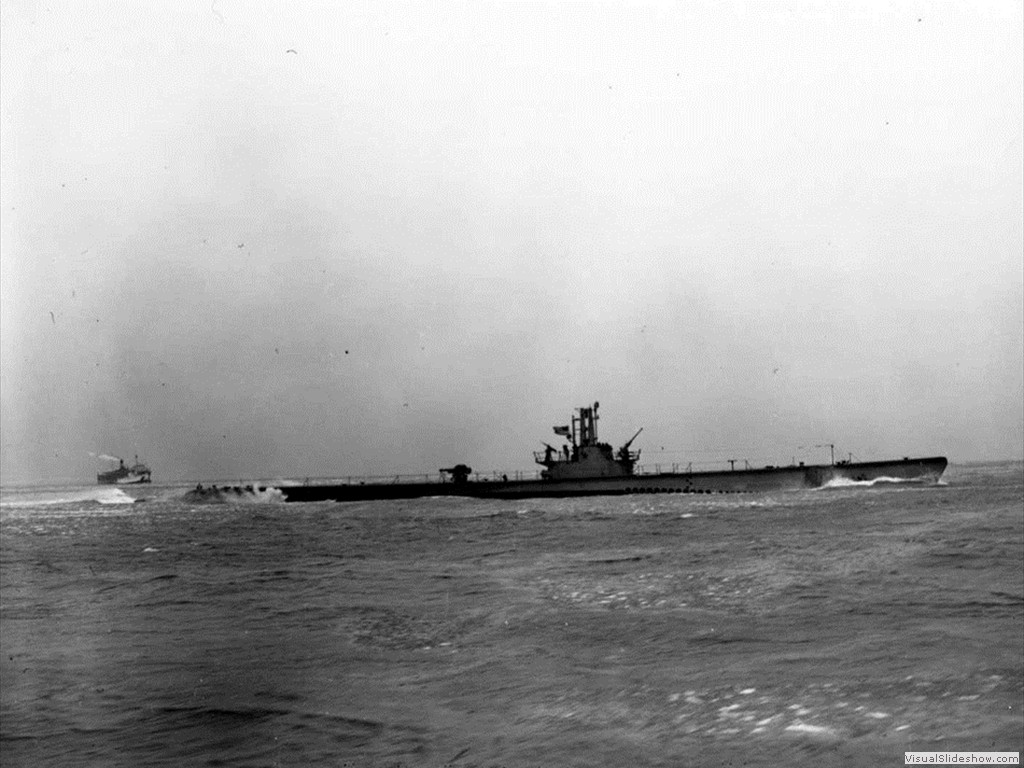 USS Lizardfish (SS-373)